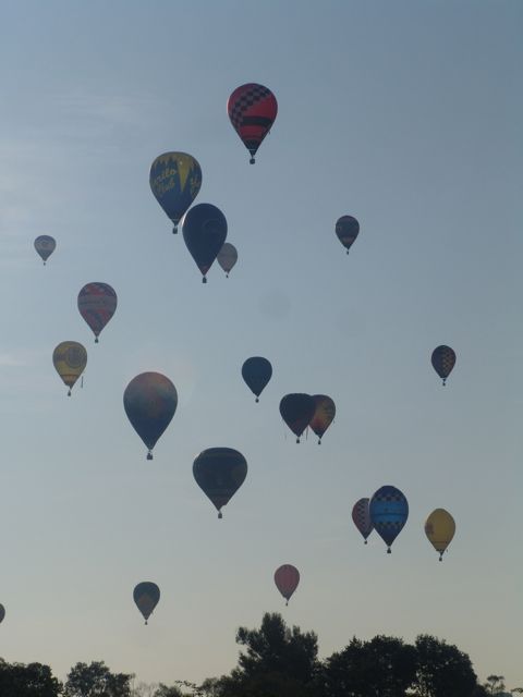DSC05528.JPG