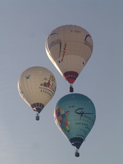 DSC05529.JPG